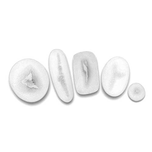 Descubre el Arte de Maquillaje FX con Flat Moulds: Tu Paso a Paso hacia la Creatividad