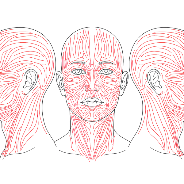 Anatomy of Tension: The Guide to Orienting Wounds and Achieving Biomechanical Credibility in Fractures.