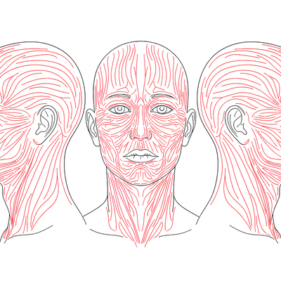 Anatomy of Tension: The Guide to Orienting Wounds and Achieving Biomechanical Credibility in Fractures.
