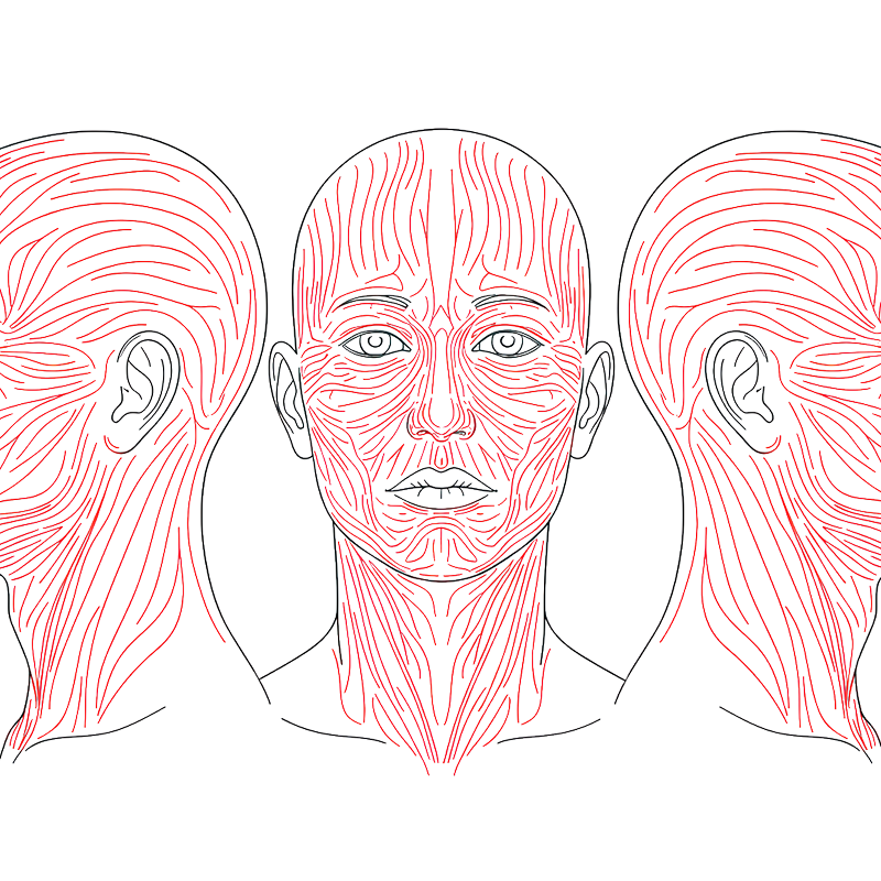 Anatomía de la Tensión: La Guía para Orientar Heridas y Lograr Credibilidad Biomecánica en FX.